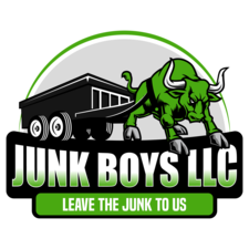 Avatar for Junk Boys