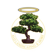 Avatar for ALO Landscaping LLC
