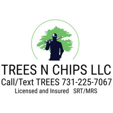Avatar for Trees N Chips