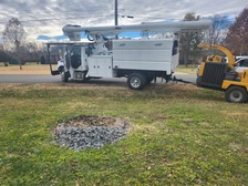 Logo for JR Tree Service