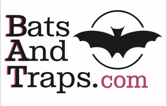 Bats and Traps logo