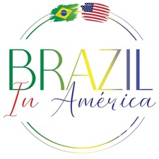 Logo for BRAZIL IN AMERICAN SERVICES LLC