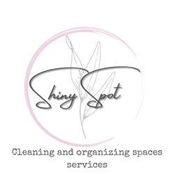 Shiny Spot LLC logo