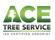 Logo for ACE Tree Service
