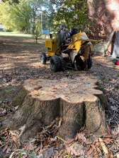 Allatoona Stump Grinding, LLC logo