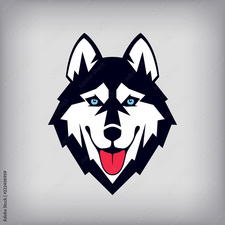 Logo for Husky Cleaning