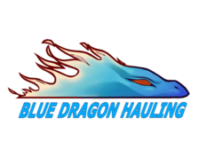 Avatar for Blue Dragon Hauling