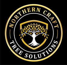 Logo for BP Nelson & Sons Const LLC
