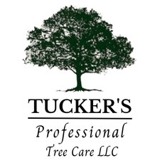 Logo for Tucker's Professional Tree Care LLC