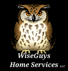 Wise Guys Home Services, LLC logo