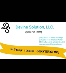 Devine Solution, LLC logo