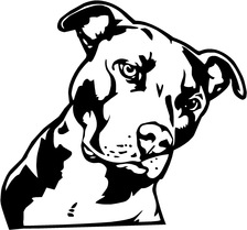 Avatar for PITBULL PRESSURE WASHING LLC