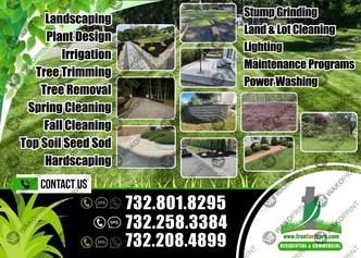 True Turf Care logo