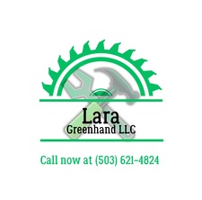 Avatar for Lara Greenhand LLC