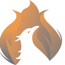 Logo for FOAMATIX, LLC