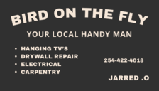 Logo for Bird on the Fly