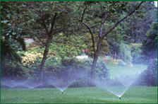 Avatar for Watermatic Irrigation Company