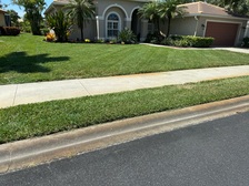 All Clear Landscaping, Land Clearing, and Lawnmowing logo