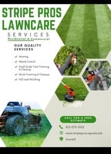 Avatar for Stripe pros lawn care
