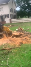 Logo for BILLY CARR STUMP GRINDER