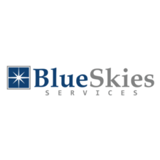 Blue Skies Services, LLC logo