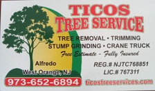 Logo for Tico's Tree Service, LLC