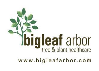 Big Leaf Resources, LLC logo