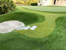 Avatar for Players Turf