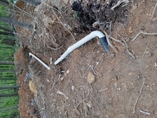 Logo for Douglas Contracting