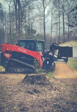 Logo for Dirt Lion, LLC