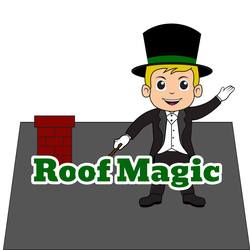 Texas Roof Magic logo