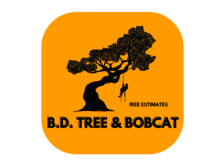 Avatar for B.D. TREE & BOBCAT LLC