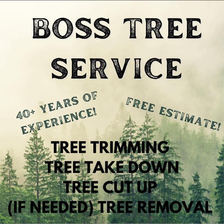 Logo for Boss Tree Service