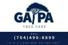 Avatar for GA/PA TREE CARE LLC
