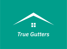 Avatar for True Gutters