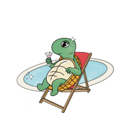 Shiny Turtle Pool Service, LLC logo