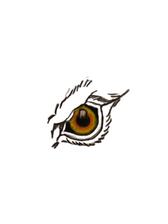 Logo for EagleEye Tree Service