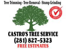 Avatar for CASTROS TREE SERVICE LLC