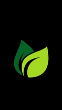 HS TREE SERVICE logo