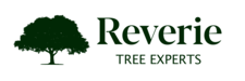 Avatar for Reverie Tree Experts, Inc.