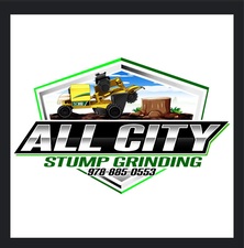 Avatar for All City Stump grinding