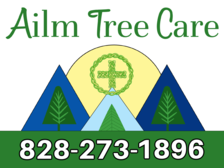 Logo for Ailm Tree Care