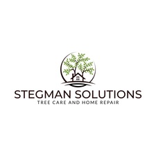 Logo for Stegman Solutions
