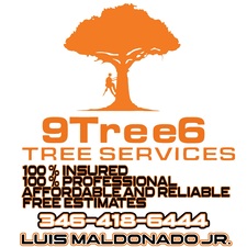 Avatar for 9Tree6 Tree Services