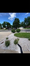 Avatar for JC Landscaping