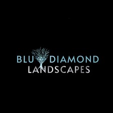 BLU DIAMOND LANDSCAPES LLC logo
