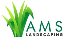 Avatar for AMS LANDSCAPING