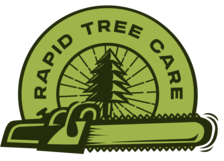 Avatar for Rapid Tree Care LLC