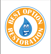 Avatar for Best Option Restoration SE Kansas City