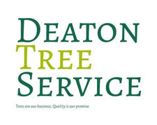 Avatar for Deaton Tree Service